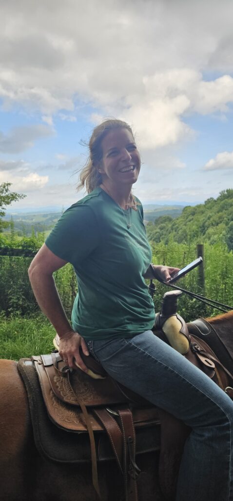 horse riding sessions
