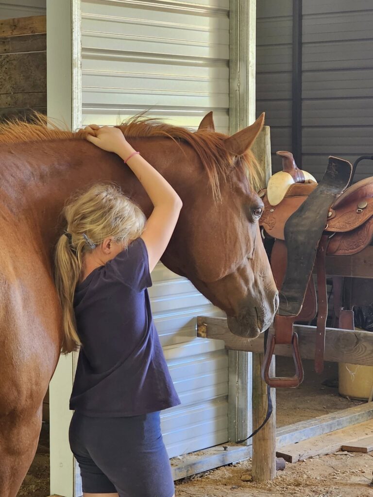 equine therapy 1b